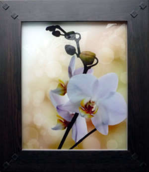 Фасад мебельный. Вставка - стекло,  рамка - цвет "Махагон"  1531-6 1