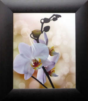 Фасад мебельный. Вставка - стекло,  рамка - цвет "Махагон"  1531-6